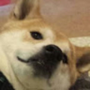 Meet your Posher, Ben